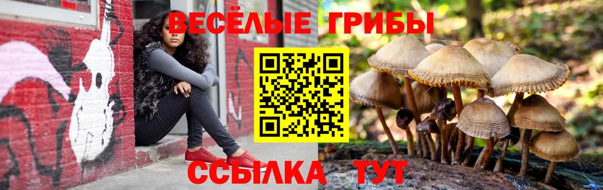 продажа наркотиков  Вход с VPN  Королёв  Галлюциногенные грибы мухоморы 